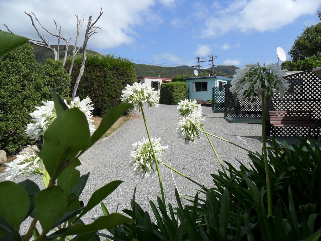 Picton'S Waikawa Bay Holiday Park Esterno foto